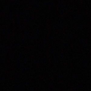 Meet your Posher, Bailey